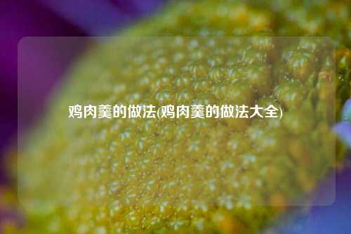 鸡肉羹的做法(鸡肉羹的做法大全)