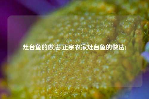 灶台鱼的做法(正宗农家灶台鱼的做法)