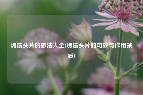 烤馒头片的做法大全(烤馒头片的功效与作用禁忌)