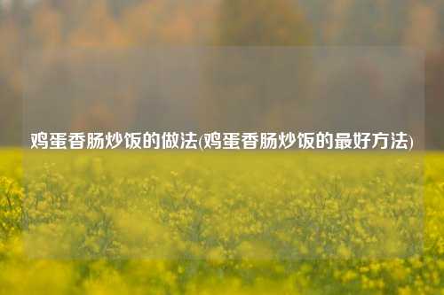 鸡蛋香肠炒饭的做法(鸡蛋香肠炒饭的最好方法)