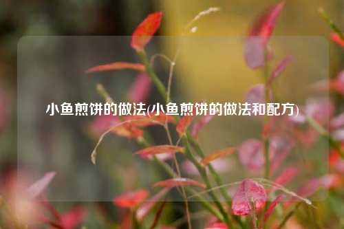 小鱼煎饼的做法(小鱼煎饼的做法和配方)
