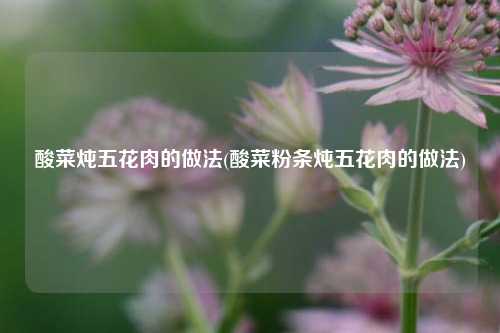 酸菜炖五花肉的做法(酸菜粉条炖五花肉的做法)