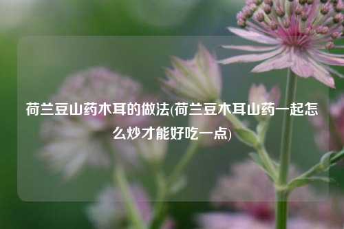 荷兰豆山药木耳的做法(荷兰豆木耳山药一起怎么炒才能好吃一点)