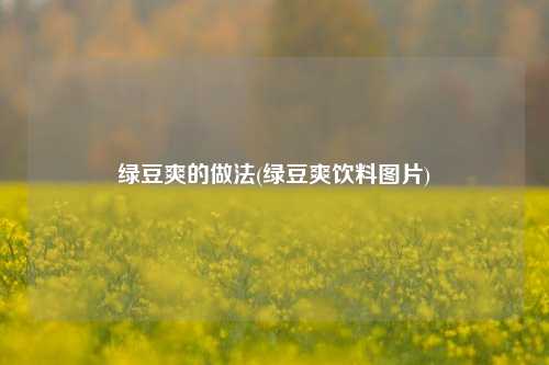 绿豆爽的做法(绿豆爽饮料图片)