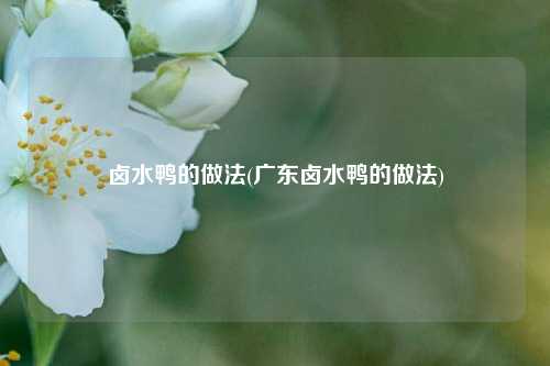 卤水鸭的做法(广东卤水鸭的做法)
