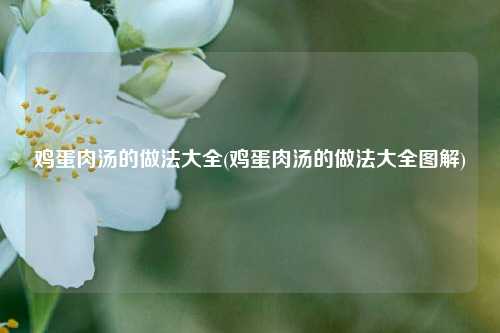鸡蛋肉汤的做法大全(鸡蛋肉汤的做法大全图解)