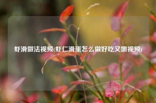 虾滑做法视频(虾仁滑蛋怎么做好吃又嫩视频)