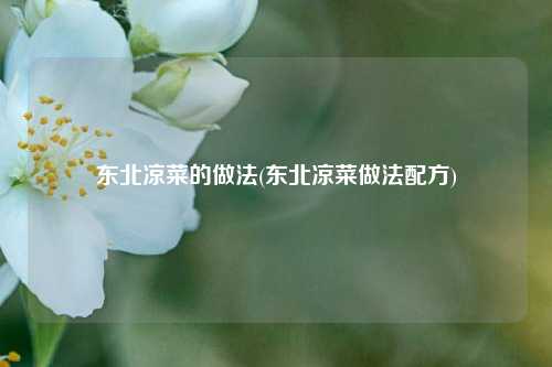 东北凉菜的做法(东北凉菜做法配方)