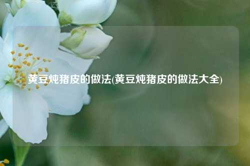黄豆炖猪皮的做法(黄豆炖猪皮的做法大全)