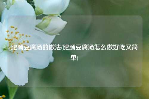 肥肠豆腐汤的做法(肥肠豆腐汤怎么做好吃又简单)