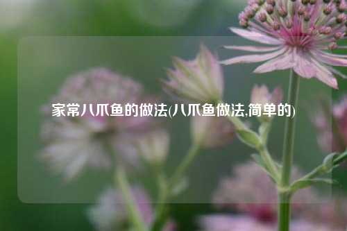 家常八爪鱼的做法(八爪鱼做法,简单的)