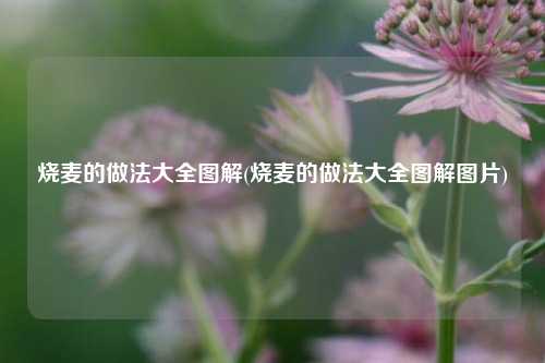 烧麦的做法大全图解(烧麦的做法大全图解图片)
