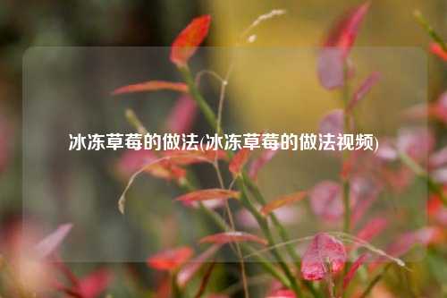 冰冻草莓的做法(冰冻草莓的做法视频)