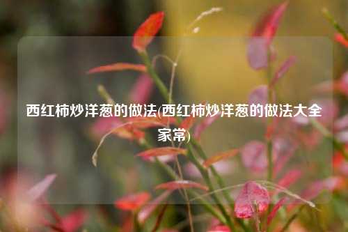 西红柿炒洋葱的做法(西红柿炒洋葱的做法大全家常)