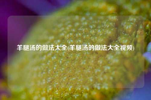 羊腿汤的做法大全(羊腿汤的做法大全视频)