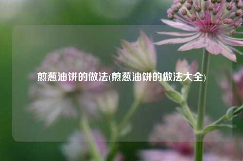 煎葱油饼的做法(煎葱油饼的做法大全)