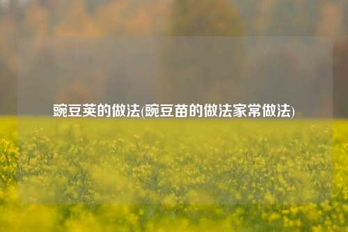 豌豆荚的做法(豌豆苗的做法家常做法)
