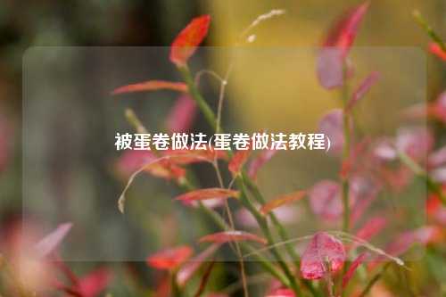 被蛋卷做法(蛋卷做法教程)